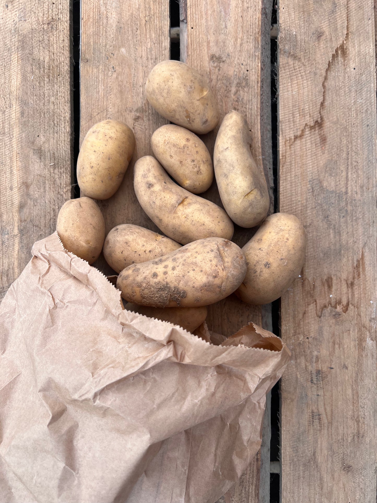 Lokale kartofler