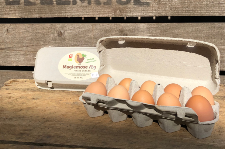 Æg fra Maglemose