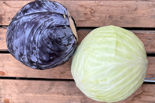 Hvidkål og Rødkål